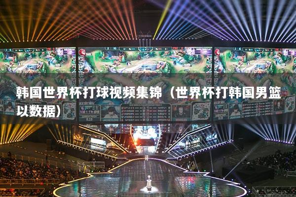 韩国世界杯打球视频集锦(世界杯打韩国男篮以数据)