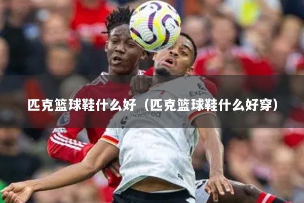 匹克篮球鞋什么好（匹克篮球鞋什么好穿）