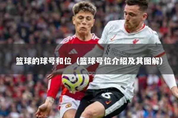 篮球的球号和位（篮球号位介绍及其图解）
