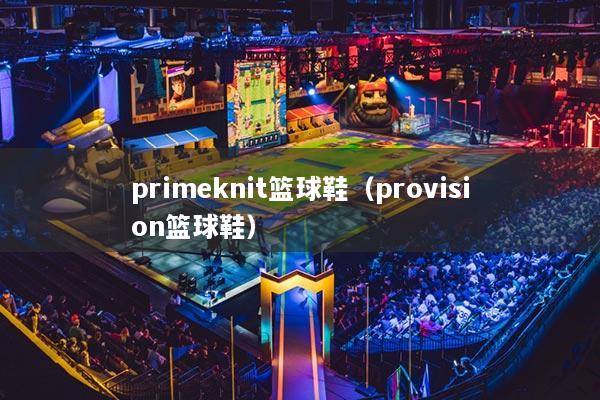 primeknit篮球鞋（provision篮球鞋）