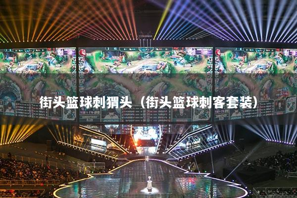 街头篮球刺猬头（街头篮球刺客套装）
