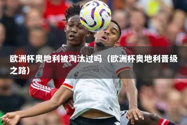 欧洲杯奥地利被淘汰过吗（欧洲杯奥地利晋级之路）