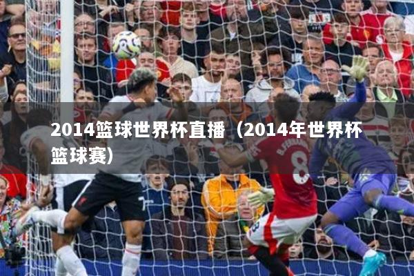 2014篮球世界杯直播（2014年世界杯篮球赛）