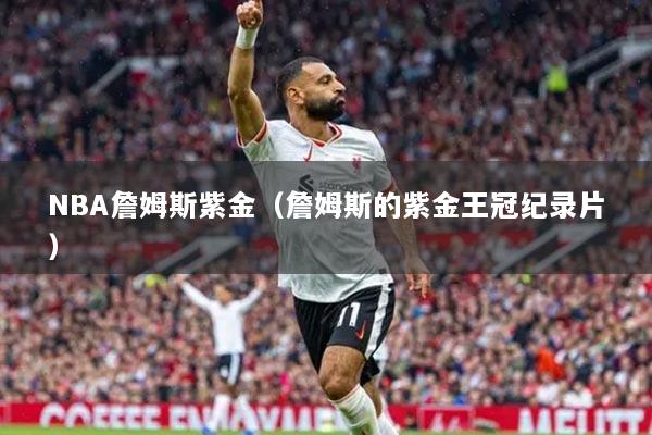 NBA詹姆斯紫金（詹姆斯的紫金王冠纪录片）