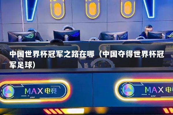 中国世界杯冠军之路在哪（中国夺得世界杯冠军足球）