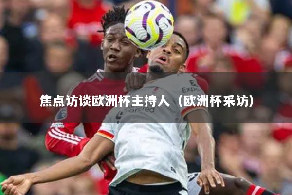 焦点访谈欧洲杯主持人（欧洲杯采访）