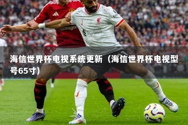 海信世界杯电视系统更新（海信世界杯电视型号65寸）