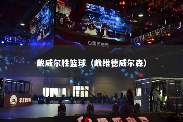 戴威尔胜篮球（戴维德威尔森）