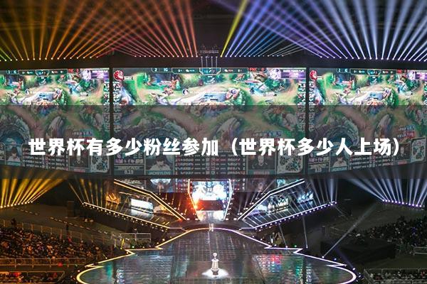 世界杯有多少粉丝参加（世界杯多少人上场）