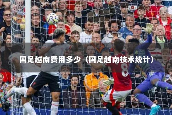 国足越南费用多少(国足越南技术统计)