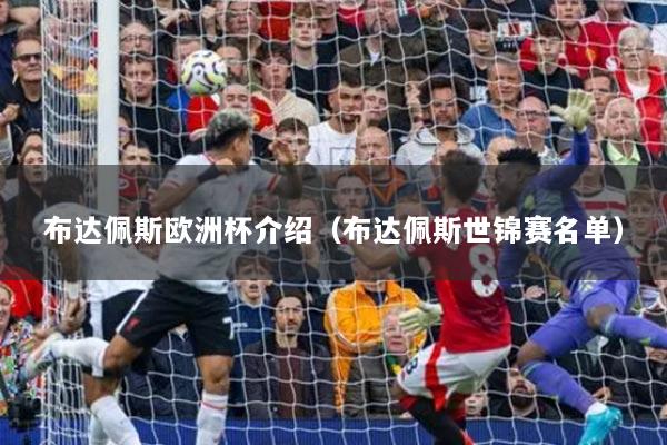 布达佩斯欧洲杯介绍(布达佩斯世锦赛名单)